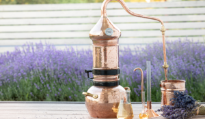 aqua minera ásványvíz lúgos mentes gyomorbarát